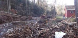 Picture of streambank damage from storm